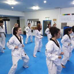 Lexis Korea Tap - Taekwondo Group Lexis Korea Teen Activity Program