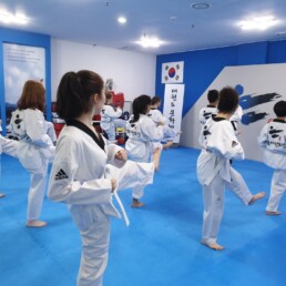 Lexis Korea Tap - Taekwondo Lexis Korea Teen Activity Program